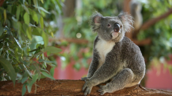 ▲'걸어서 세계속으로' (사진제공=KBS 1TV)