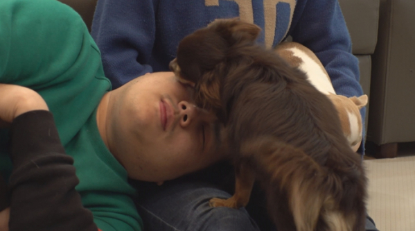 ▲'TV 동물농장' 존박이(사진제공=SBS)