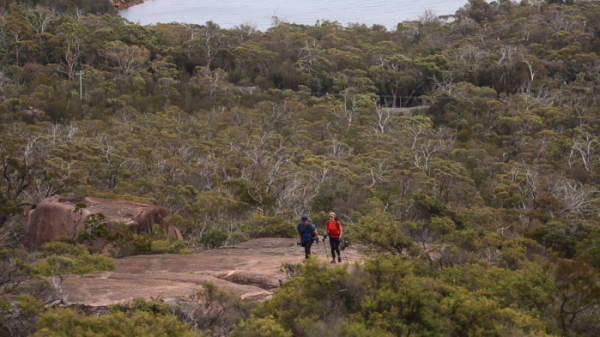 ▲'영상앨범 산'(사진제공=KBS 2TV)