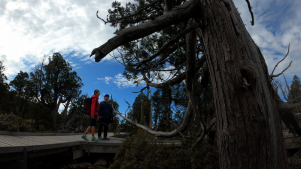 ▲'영상앨범 산'(사진제공=KBS 2TV)