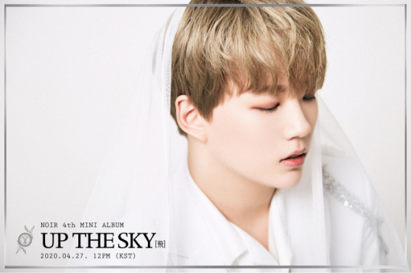 ▲느와르 시하(사진제공=럭팩토리)