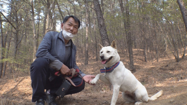 ▲'순간포착 세상에 이런 일이' 진돗개 별이(사진제공=SBS)