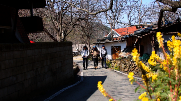 ▲'영상앨범 산'(사진제공=KBS 2TV)