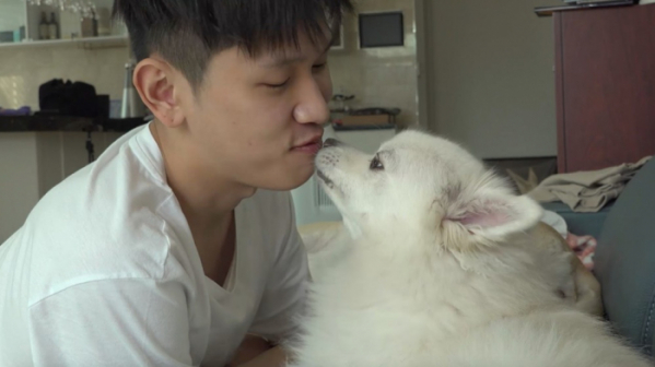 ▲'강아지들이 크러쉬와 놀아주는 법'(사진제공=크러쉬 공식 유튜브 채널 캡처)