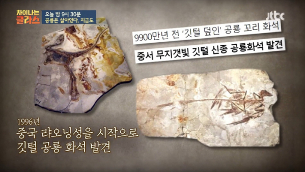 ▲‘차이나는 클라스’ (사진제공=JTBC)