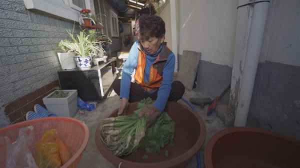 ▲'순간포착 세상에 이런 일이'(사진제공=SBS)