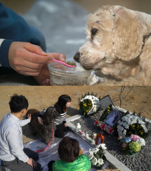 ▲‘시리즈M’ (사진제공=MBC)