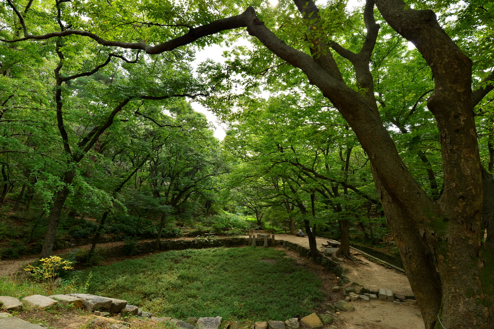 (사진 황정희 시니어기자 )