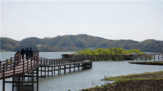 ▲'다큐멘터리 3일' 예당호(사진제공=KBS 1TV)