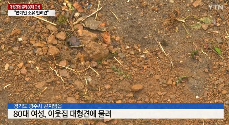 (출처=YTN 캡처)