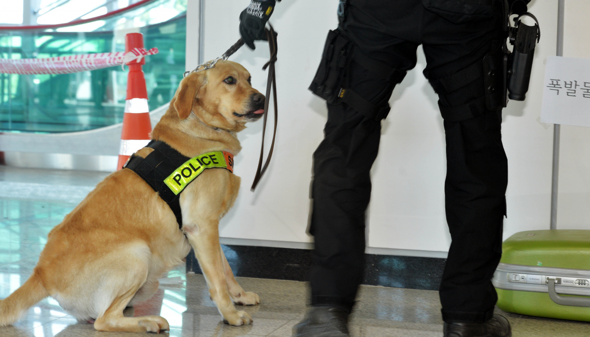 ▲철도경찰탐지견. (뉴시스)