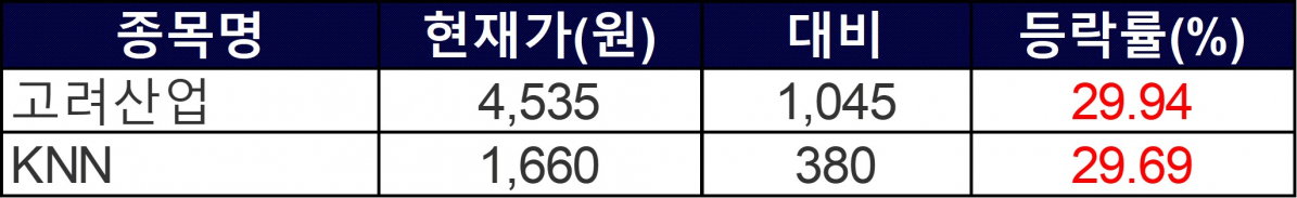 ▲29일 상한가 종목들. (자료=한국거래소)