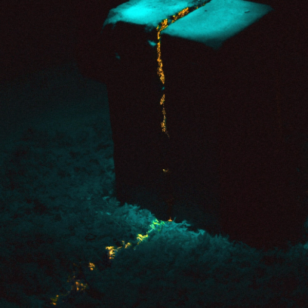 ▲김선재(사진제공=아메바컬쳐)