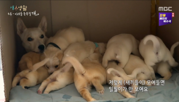 ▲‘시리즈M’ (사진제공=MBC)