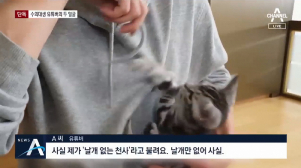 ▲채널A 뉴스 캡처