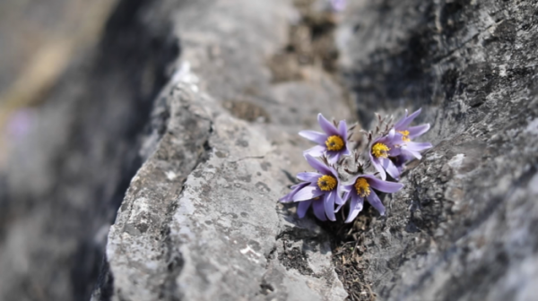 ▲'김영철의 동네 한 바퀴' (사진제공=KBS 1TV)