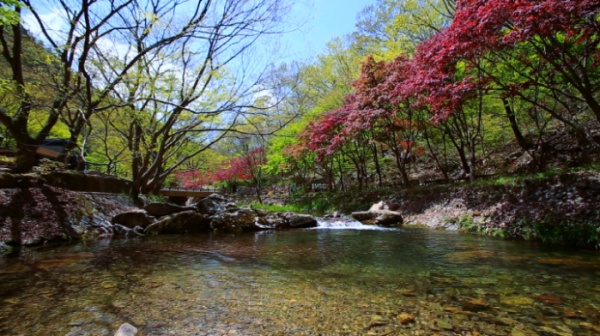 ▲'영상앨범 산' (사진제공=KBS 2TV)