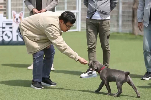 ▲‘개는 훌륭하다’ (사진제공=KBS 2TV)