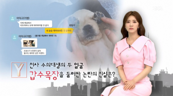 ▲궁금한 이야기Y