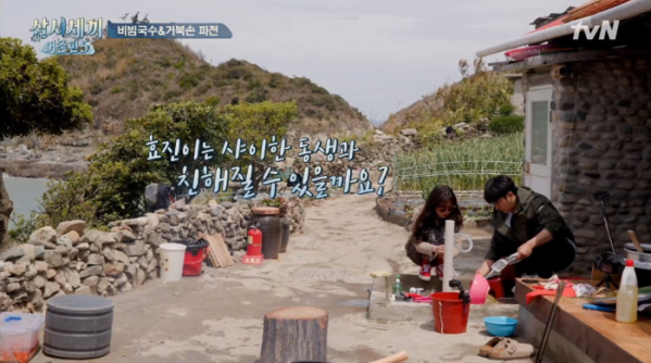 ▲샤이보이 손호준과 공효진(사진=tvN '삼시세끼' 방송화면 캡처)