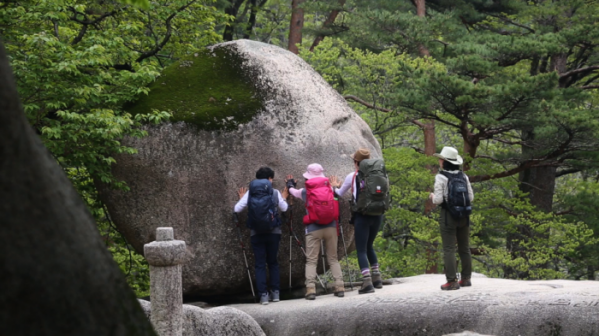 ▲'영상앨범 산'(사진제공=KBS 2TV)