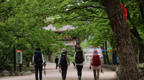 ▲'영상앨범 산'(사진제공=KBS 2TV)