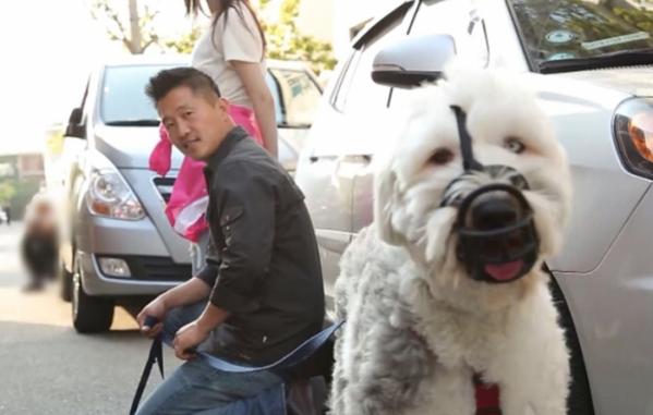 ▲'개는 훌륭하다‘(사진제공=KBS 2TV)