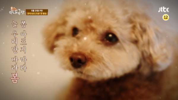 ▲'우리집 막내극장' 신다은(사진제공=JTBC)