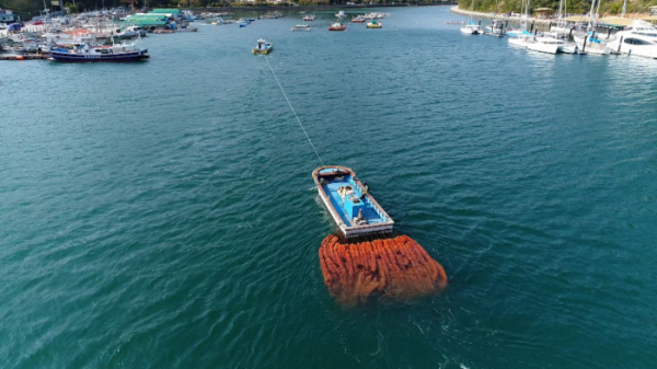 ▲'다큐3일' 멍게 통영 영운항(사진제공=KBS1)