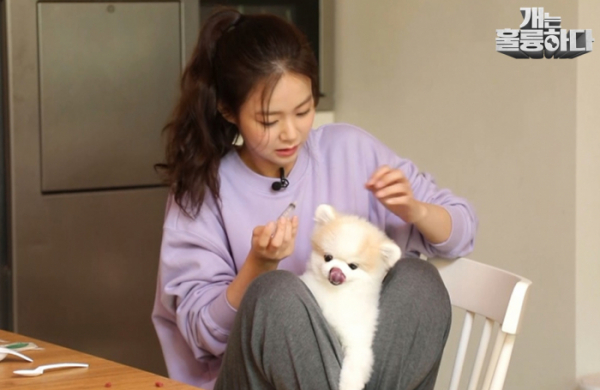 ▲'개는 훌륭하다‘ 한승연(사진제공=KBS 2TV)