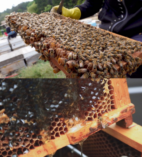 ▲‘서민갑부’(사진제공=채널A)