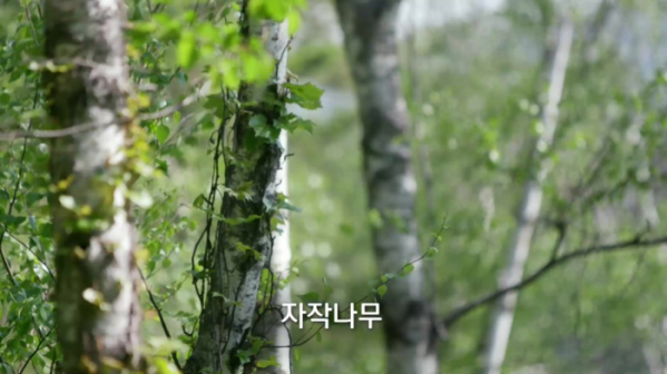 ▲'생로병사의 비밀' 알레르기(사진제공=KBS 1TV)