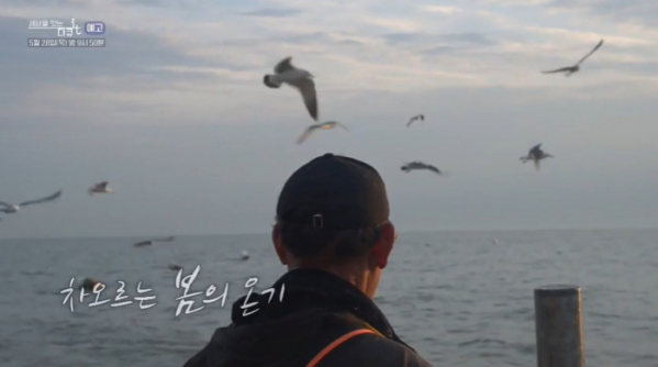 ▲​'다큐 잇it' 연평도(사진제공=EBS1)