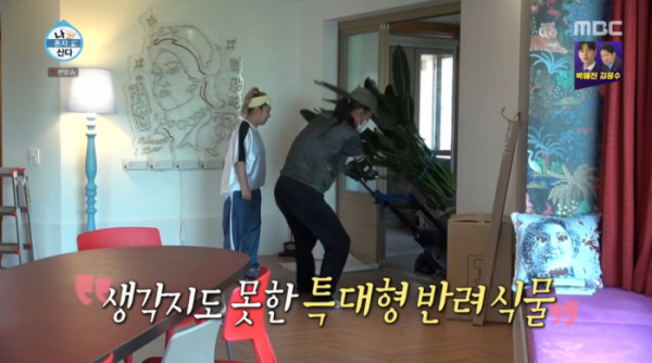 ▲극락조(사진=MBC '나혼자산다' 방송화면 캡처)