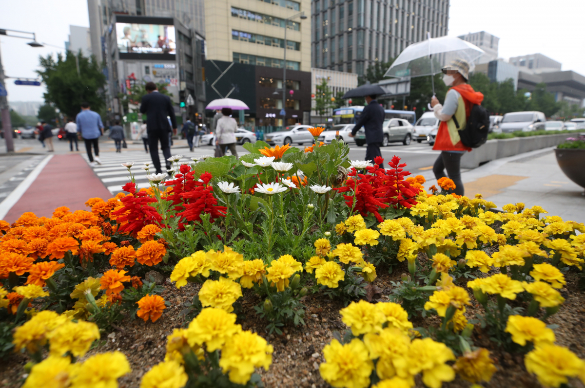 ▲빗방울 떨어지는 오후. (연합뉴스)