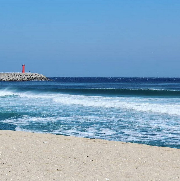 (출처=강릉시 홈페이지 캡처 )