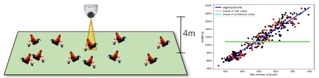 ▲카메라를 통해 육계 특성 수집하고, 이를 빅데이터에 대입해 체중을 분석한 결과.  (자료제공=농촌진흥청)