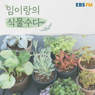 ▲임이랑(사진=엠와이뮤직 제공)