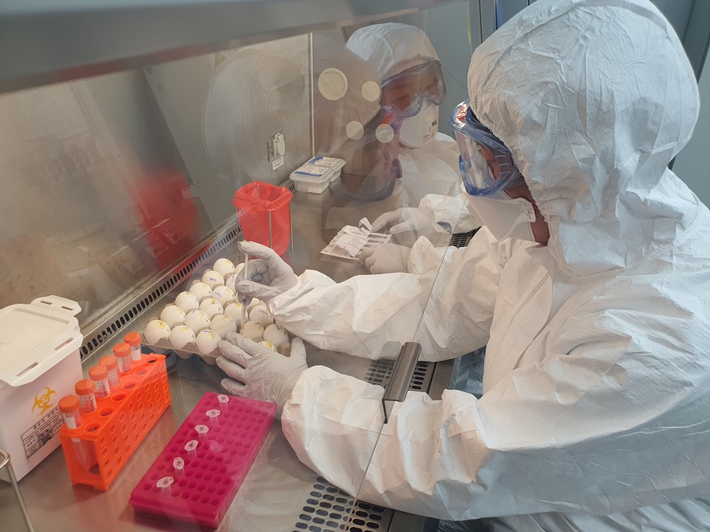 ▲농림축산검역본부에서 운영 중인 조류인플루엔자 표준실험실.  (사진제공=농림축산검역본부)