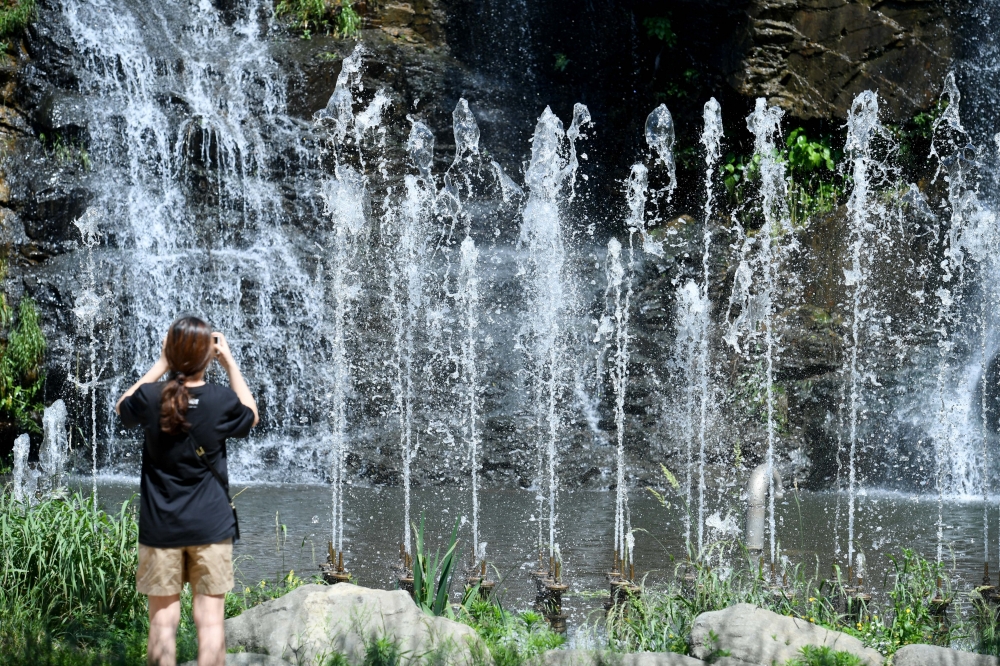 (신태현 기자 holjjak@)