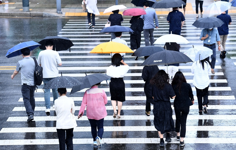 (신태현 기자 holjjak@)