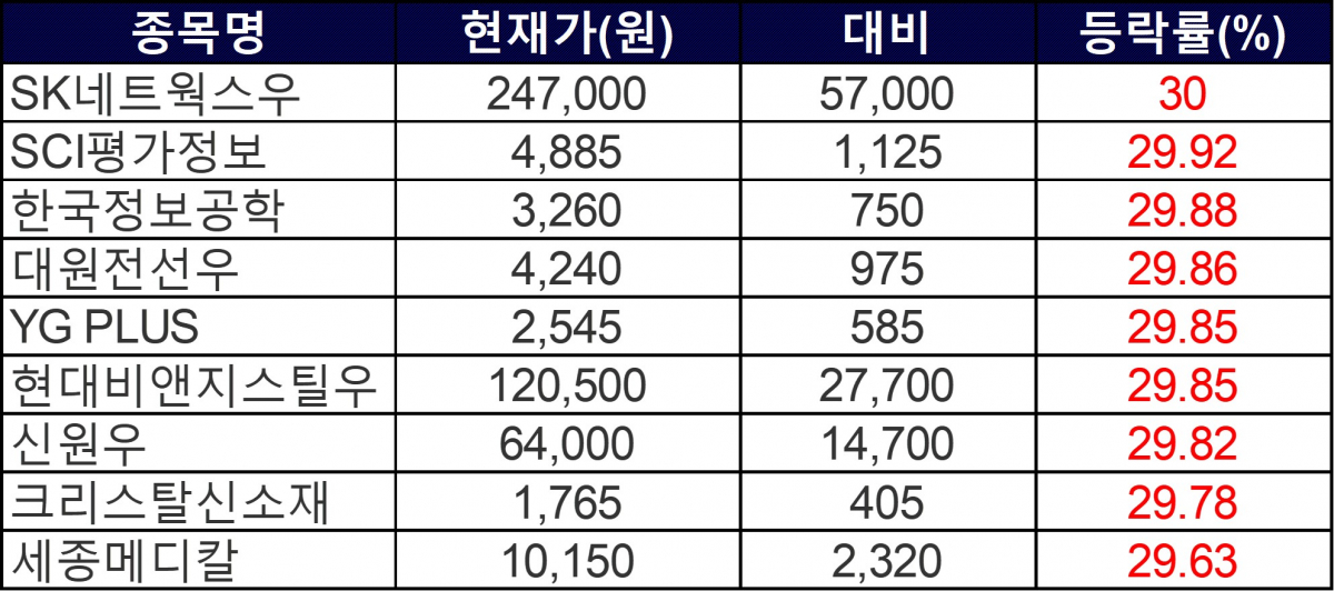 ▲29일 상한가 종목들. (자료=한국거래소)