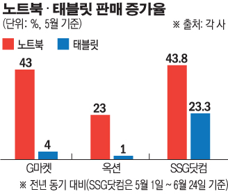 (그래픽=손미경 기자 sssmk@)