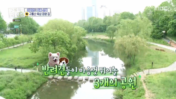 ▲'구해줘 홈즈' 윤하-박나래 '구룡산 옥상 정원 집'(사진제공=MBC)