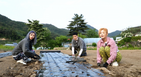 ▲'6시 내고향' 트와이스(사진제공=KBS1)