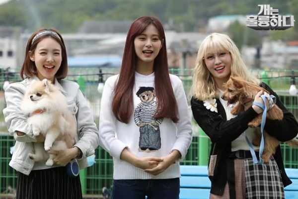 ▲‘개는 훌륭하다’ 트와이스 나연, 모모, 쯔위(사진제공=KBS 2TV)