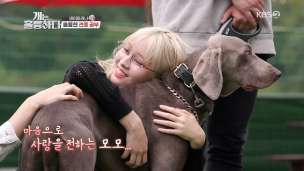 ▲'개훌륭' 모모 '바이마라너'(사진제공=KBS2)