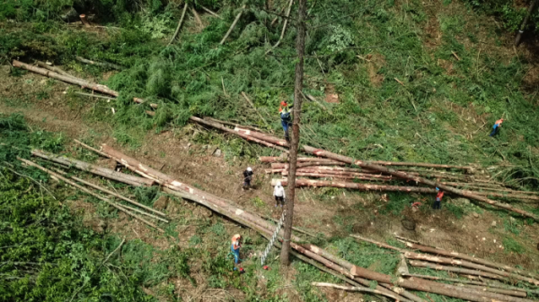 ▲'EBS 극한직업' 국유림영림단(사진제공=EBS)