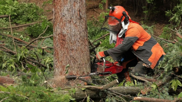 ▲'EBS 극한직업' 국유림영림단(사진제공=EBS)