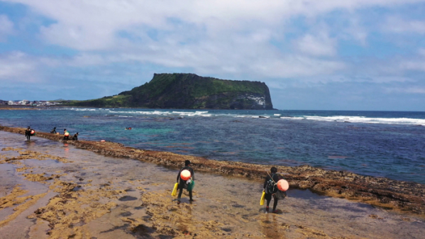 ▲'다큐 잇it' 도시락(사진제공=EBS1)